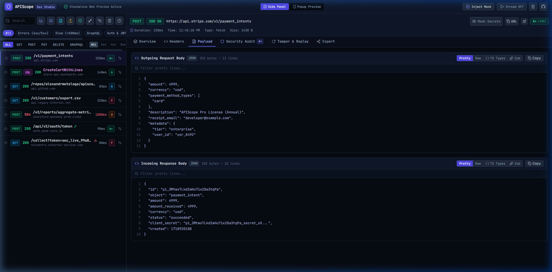 APIScope Extension Screenshot Preview 3
