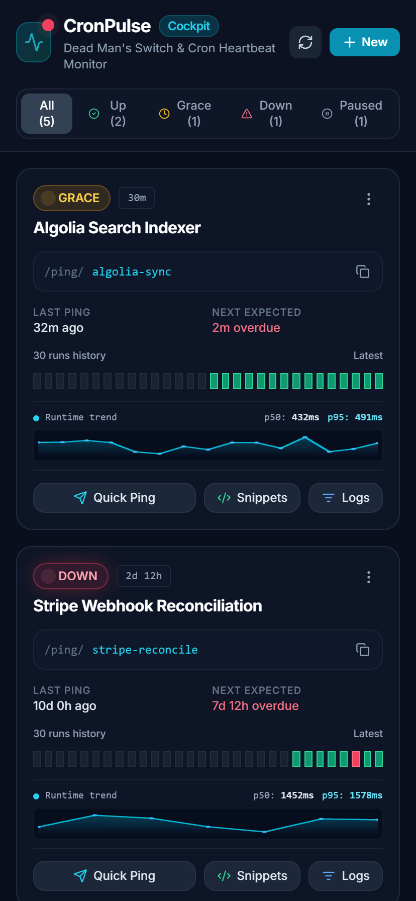 CronPulse Screenshot Preview 2