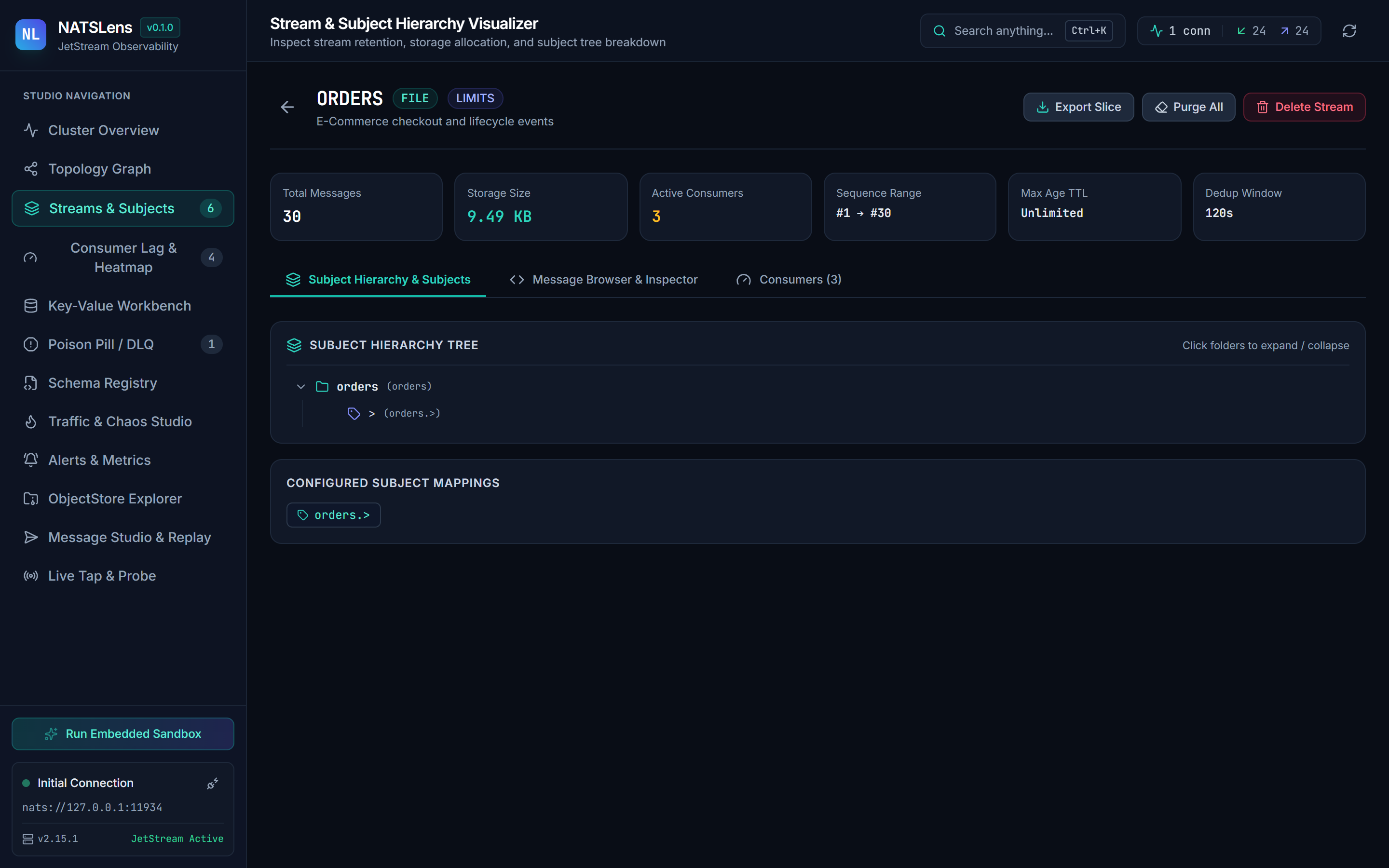 NATSLens Screenshot Preview 4