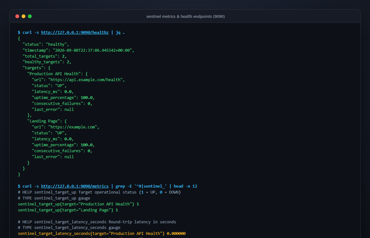 Sentinel Screenshot Preview 4