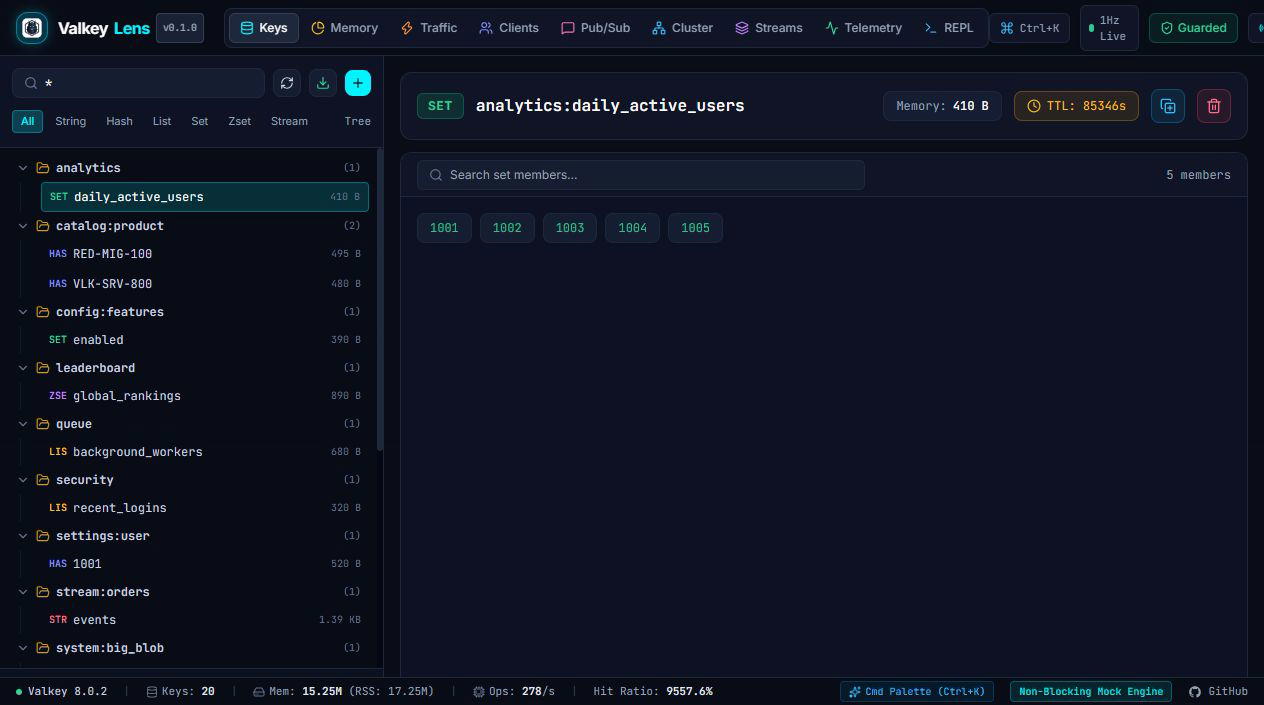 ValkeyLens Screenshot Preview 2
