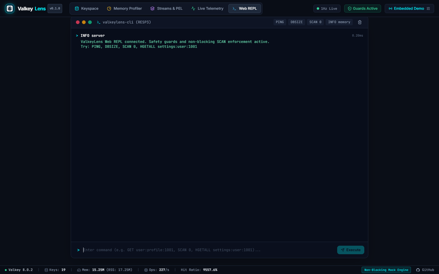 ValkeyLens Screenshot Preview 11