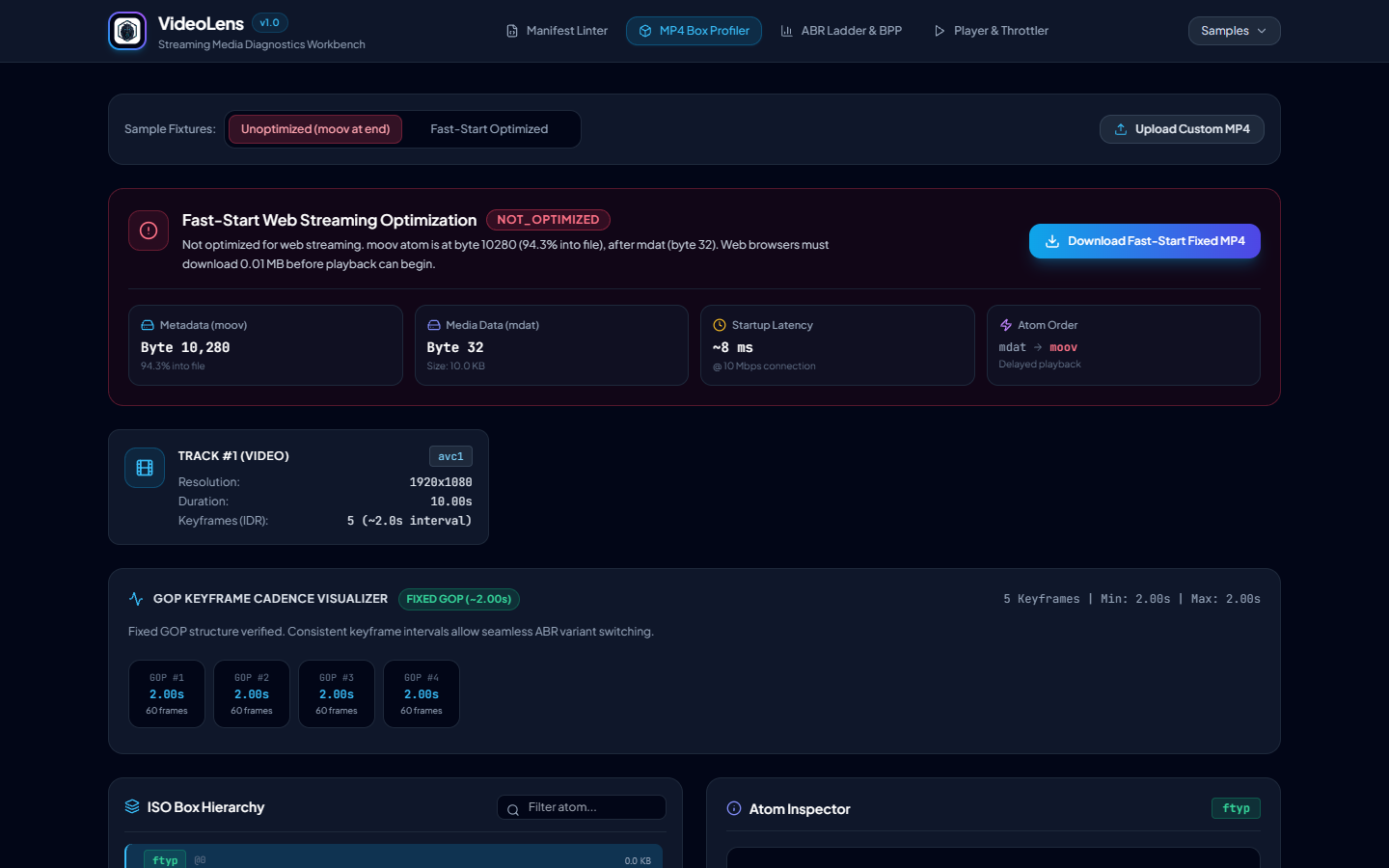 VideoLens Screenshot Preview 2